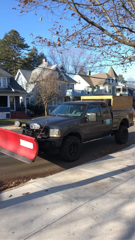 Expert yard cleanup service experts serving New Haven, CT - Oddjobs Handymen