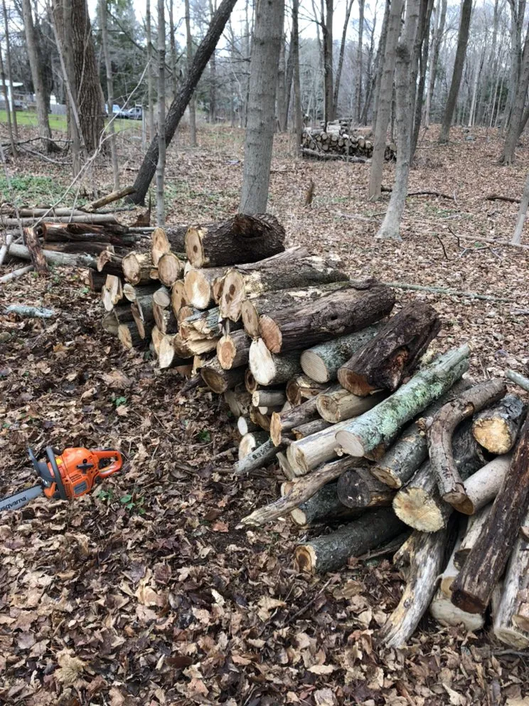 Custom residential landscaping for year-round maintenance in New Haven, CT by Oddjobs Handymen