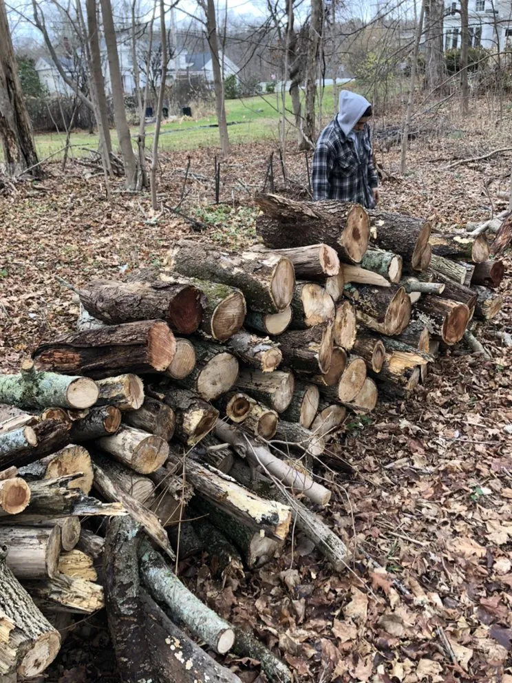 Trusted yard cleanup service with custom design in New Haven, CT by Oddjobs Handymen