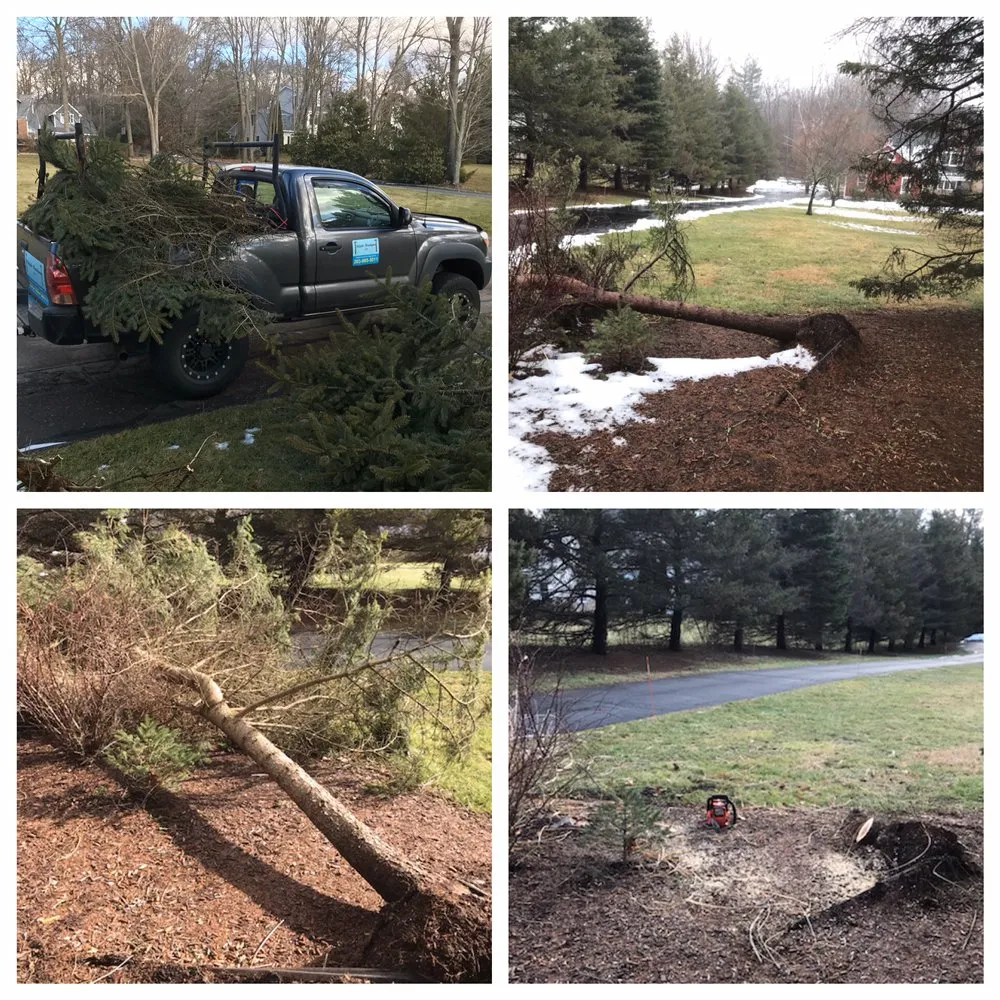 Custom residential landscaping experts serving New Haven, CT - Oddjobs Handymen