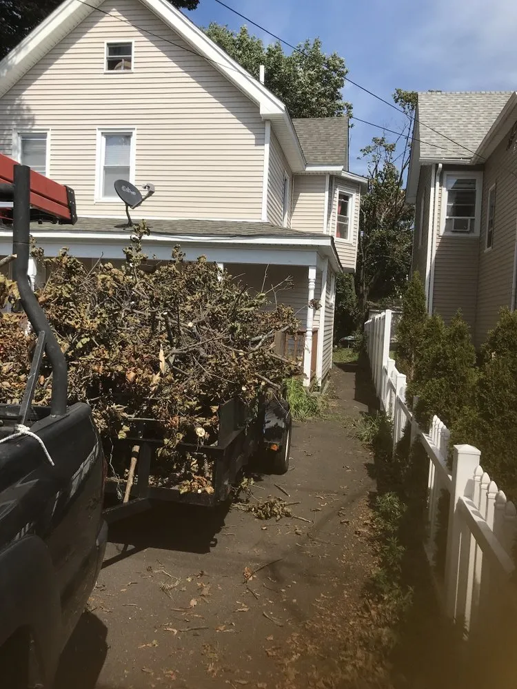 Trusted yard cleanup service for residential properties across New Haven, CT - Oddjobs Handymen