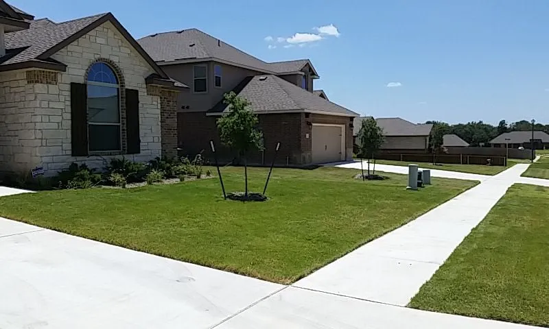 Trusted landscape installation for year-round maintenance across Temple, TX - Odds and Ends Lawn Care