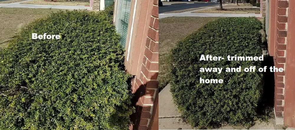 Trusted yard maintenance in Temple, TX - Odds and Ends Lawn Care