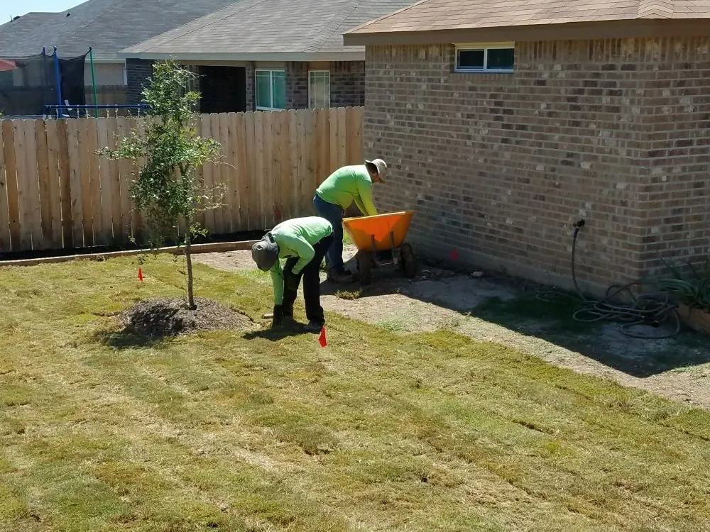 Local yard cleanup service in Temple, TX by Odds and Ends Lawn Care