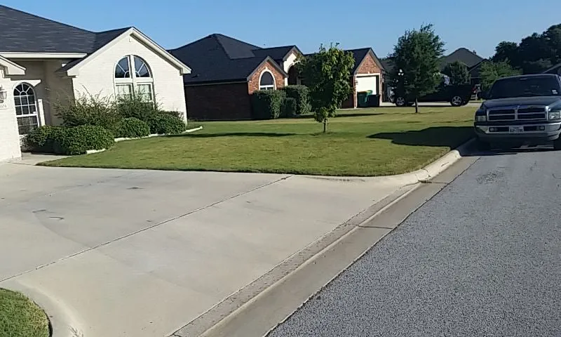 Custom yard cleanup service in Temple, TX by Odds and Ends Lawn Care