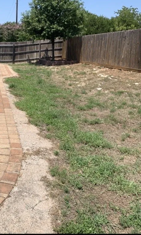 Affordable lawn mowing service experts serving Temple, TX - Odds and Ends Lawn Care