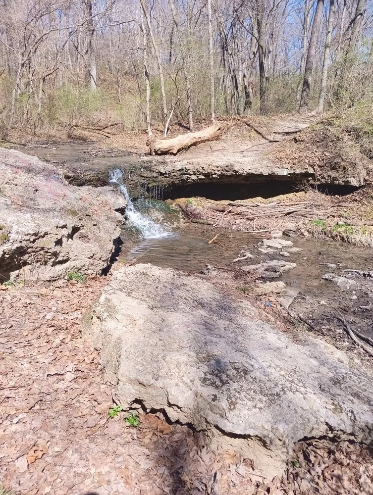 Affordable garden landscaping in Saint Joseph, MO - Odds and Ends