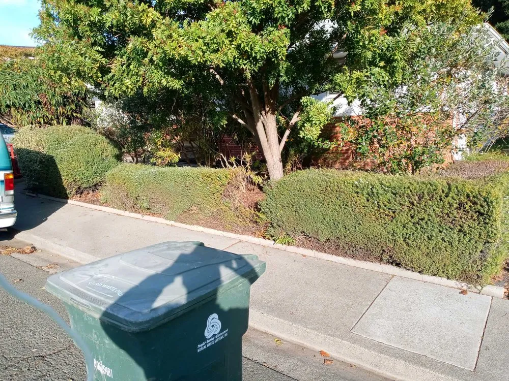 Custom landscape design experts serving American Canyon, CA - Oddz & Endz Home Improvement Services