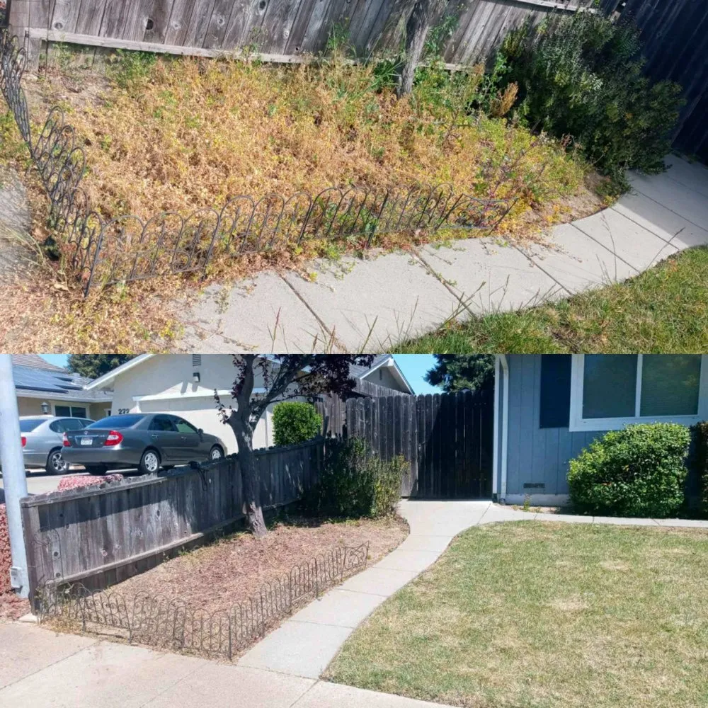 Expert yard maintenance for outdoor upgrades across American Canyon, CA - Oddz & Endz Home Improvement Services