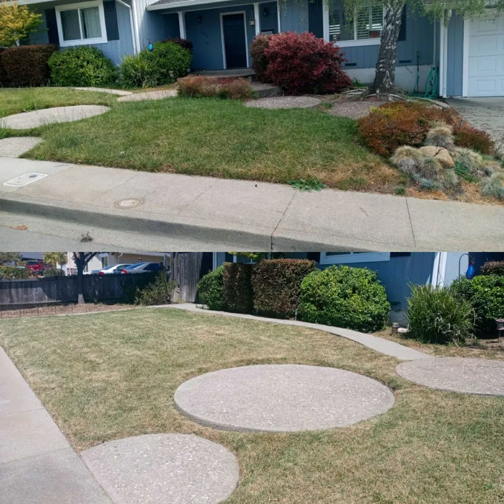 Expert outdoor landscaping experts serving American Canyon, CA - Oddz & Endz Home Improvement Services