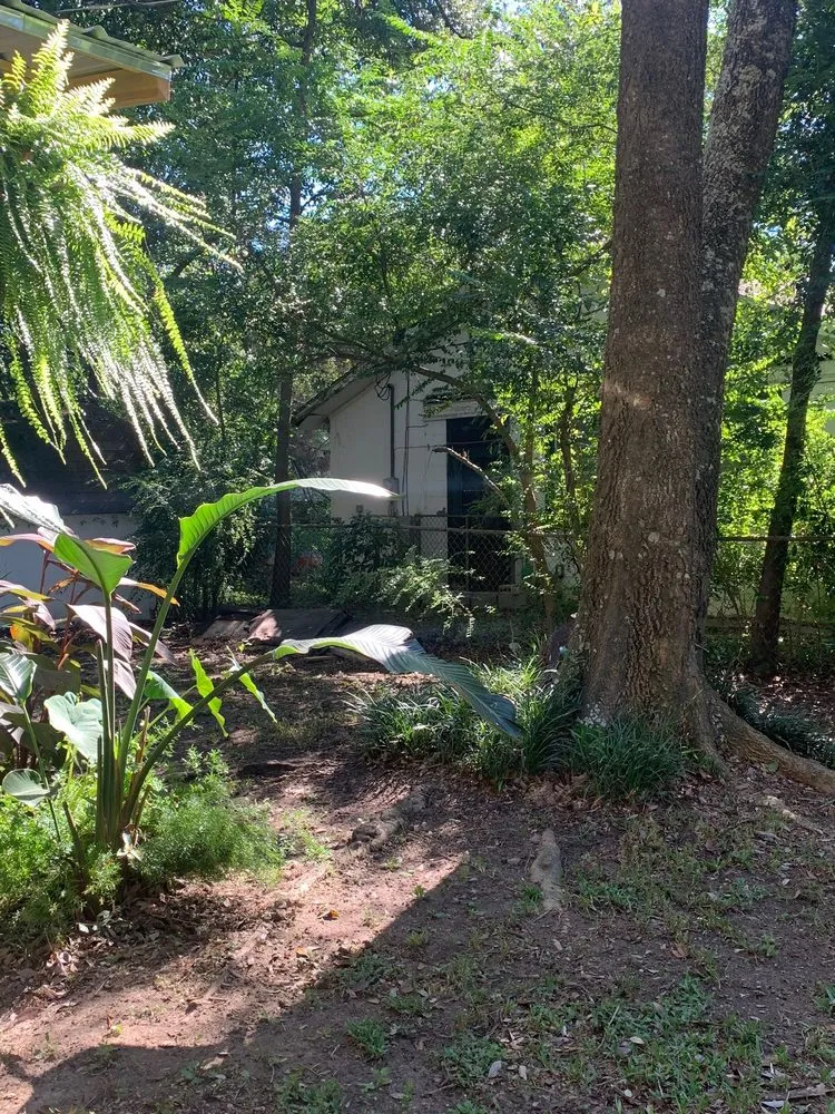 Expert lawn mowing service in Charleston, SC - O'Dell & Son Lawn and Landscaping Services