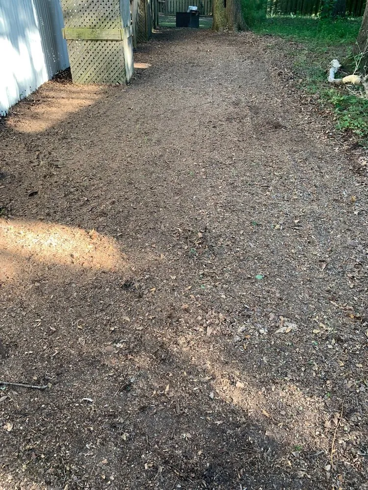 Trusted yard maintenance in Charleston, SC by O'Dell & Son Lawn and Landscaping Services