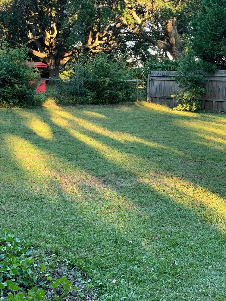 Trusted lawn mowing service for beautiful yards in Charleston, SC by O'Dell & Son Lawn and Landscaping Services