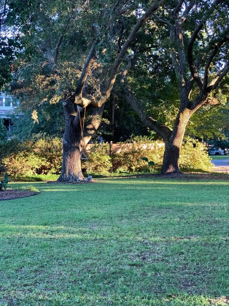 Professional landscape design near you across Charleston, SC - O'Dell & Son Lawn and Landscaping Services