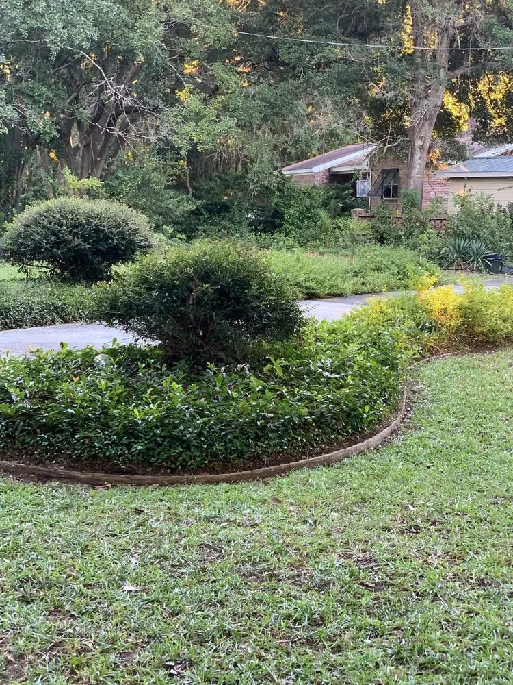 Trusted landscape installation in Charleston, SC - O'Dell & Son Lawn and Landscaping Services