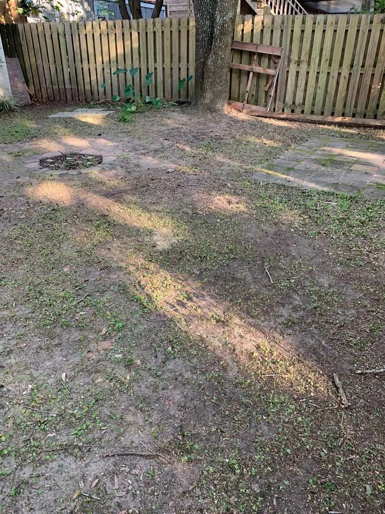 Affordable landscape installation experts serving Charleston, SC - O'Dell & Son Lawn and Landscaping Services