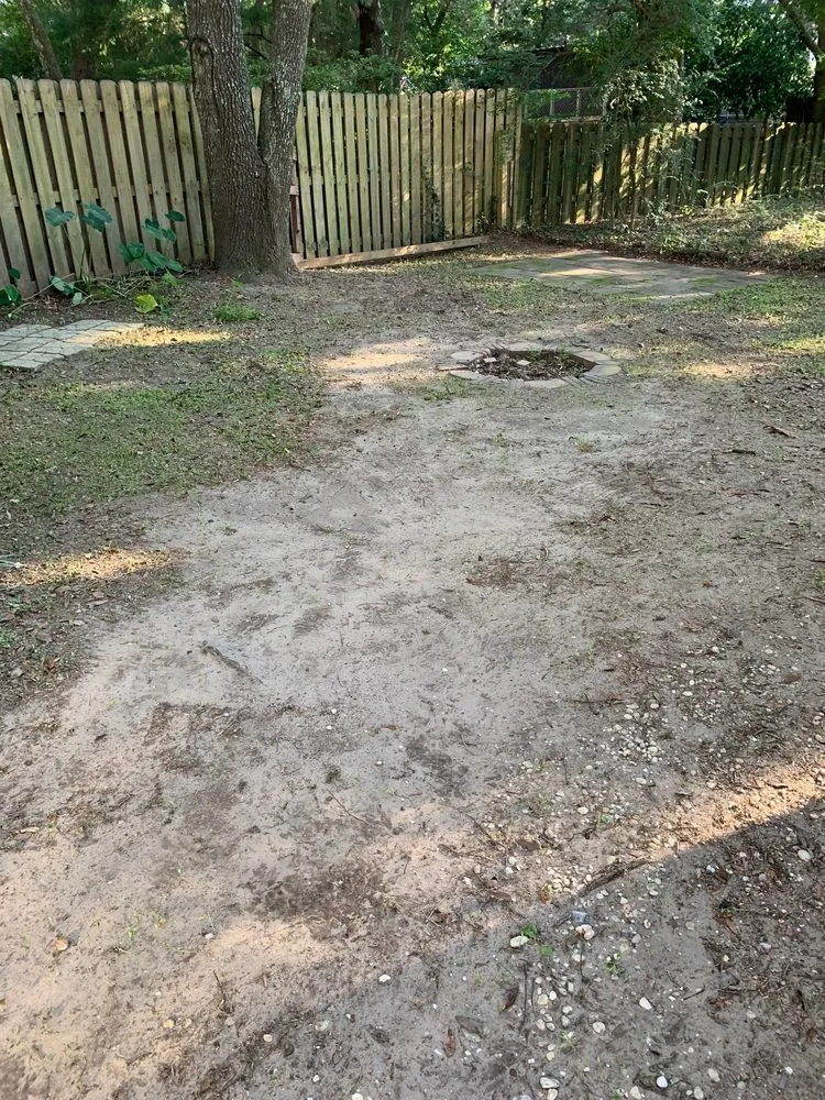 Reliable lawn care service experts serving Charleston, SC - O'Dell & Son Lawn and Landscaping Services