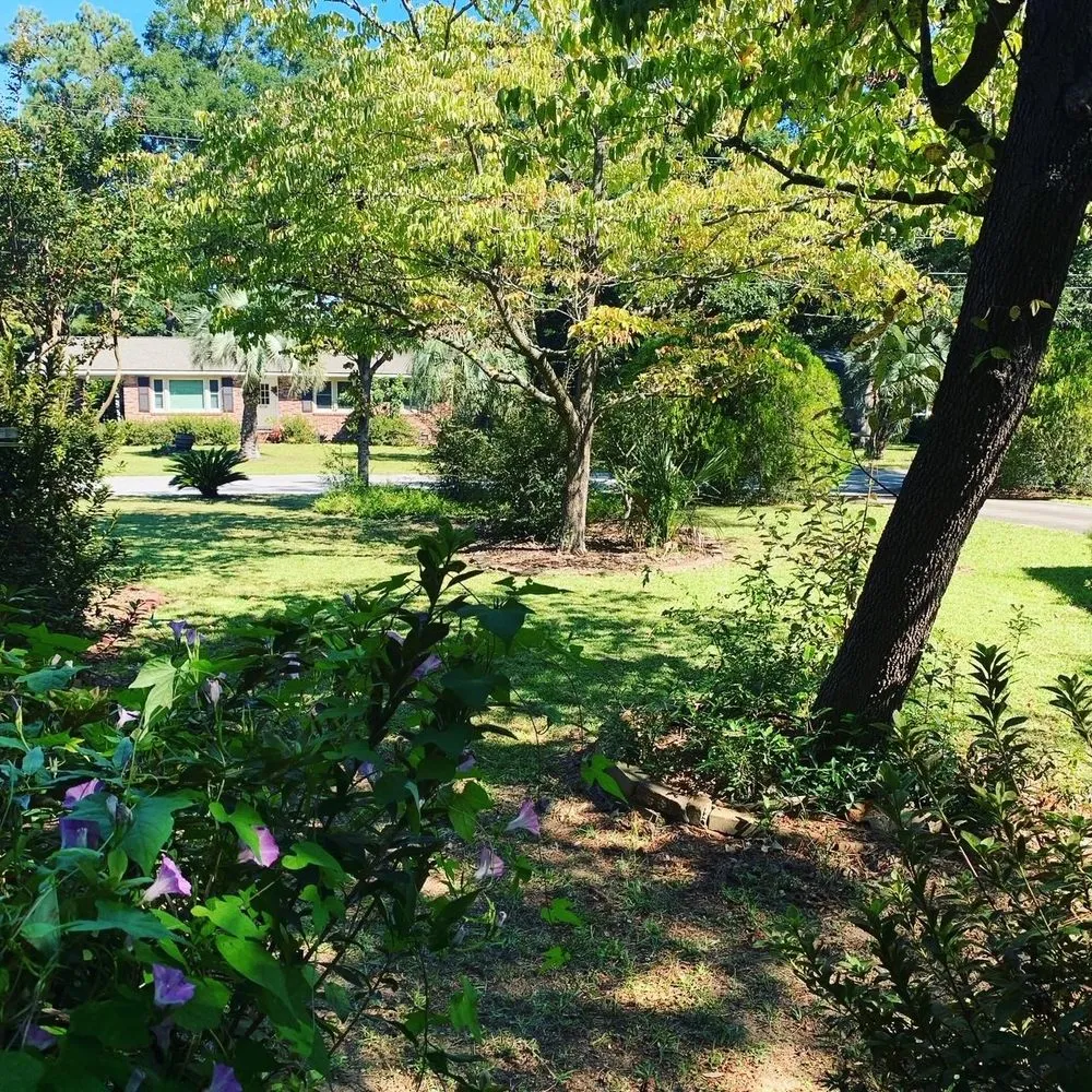 Affordable landscape design experts serving Charleston, SC - O'Dell & Son Lawn and Landscaping Services