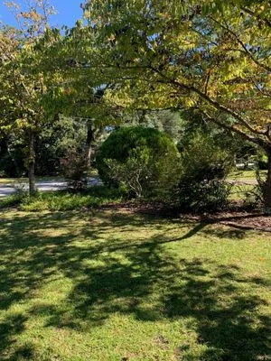 O'Dell & Son Lawn and Landscaping Services Logo