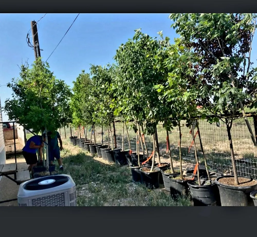 Custom lawn mowing service in Odessa, TX by Odessa Irrigation 2