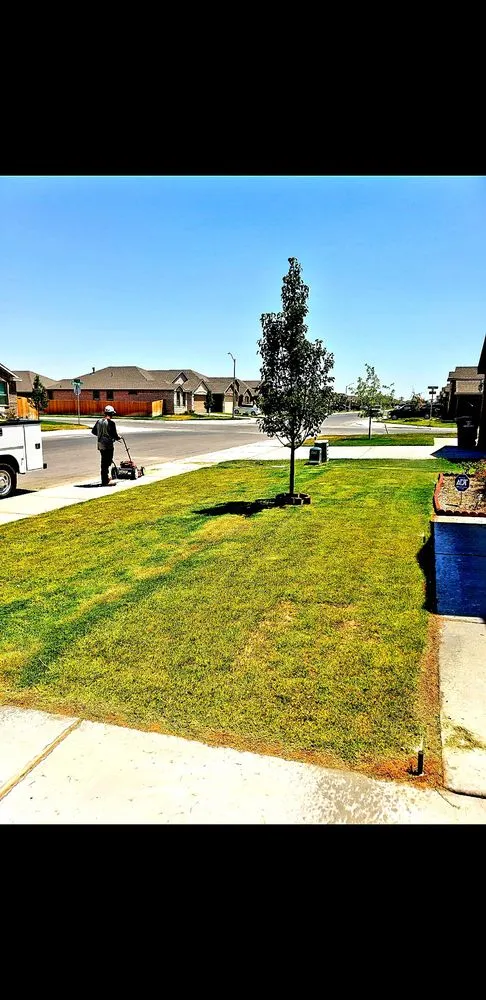 Professional residential landscaping experts serving Odessa, TX - Odessa Irrigation 2