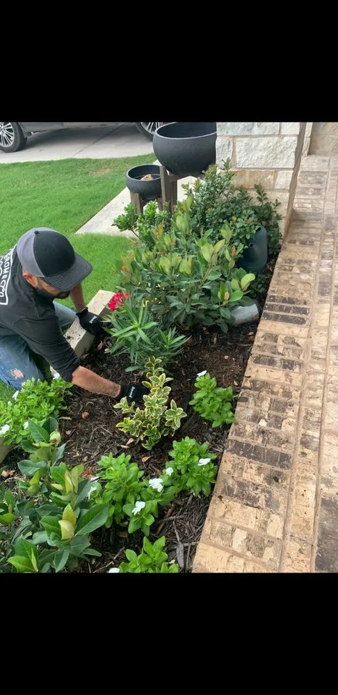 Top-rated landscaping services in Odessa, TX by Odessa Irrigation 2