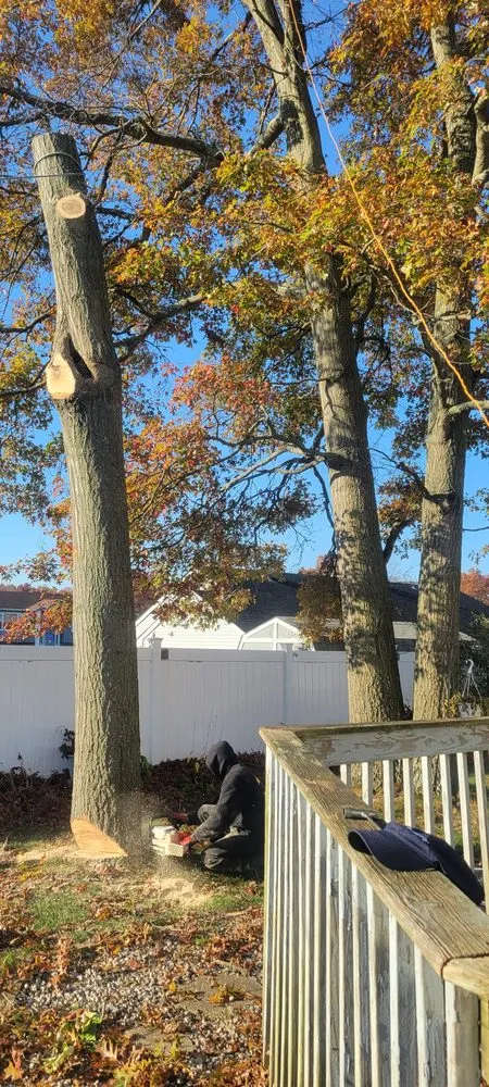 Trusted landscape installation for beautiful yards in Lakewood, NJ by Odi Tree Service and Landscaping