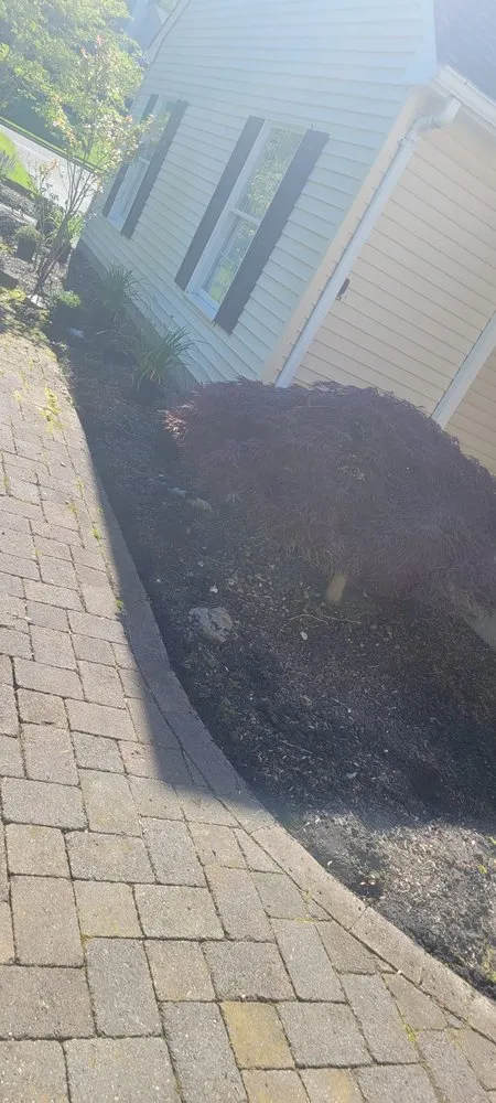 Professional garden landscaping experts serving Lakewood, NJ - Odi Tree Service and Landscaping