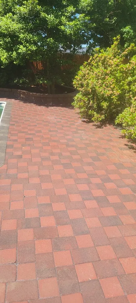 Reliable lawn care service for beautiful yards across Lakewood, NJ - Odi Tree Service and Landscaping