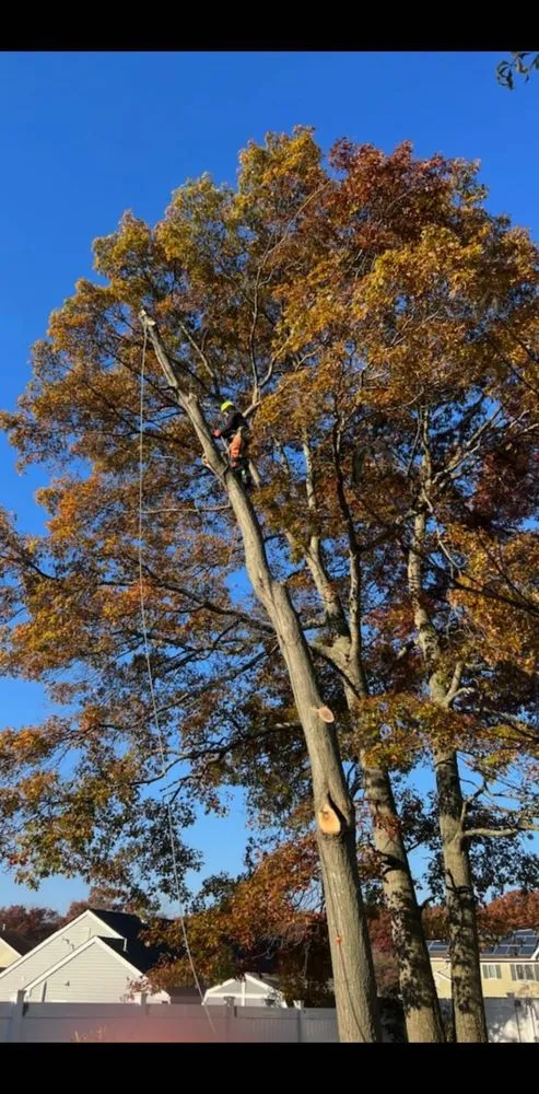 Reliable landscape installation for year-round maintenance in Lakewood, NJ by Odi Tree Service and Landscaping