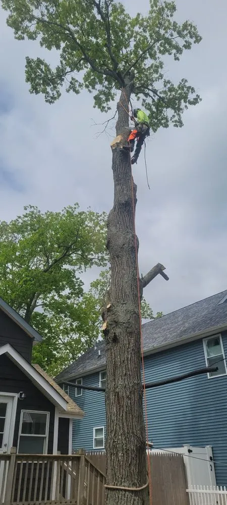 Custom landscaping services experts serving Lakewood, NJ - Odi Tree Service and Landscaping