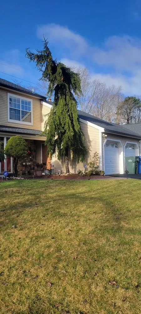 Trusted residential landscaping experts serving Lakewood, NJ - Odi Tree Service and Landscaping