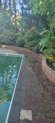 Odi Tree Service and Landscaping Logo