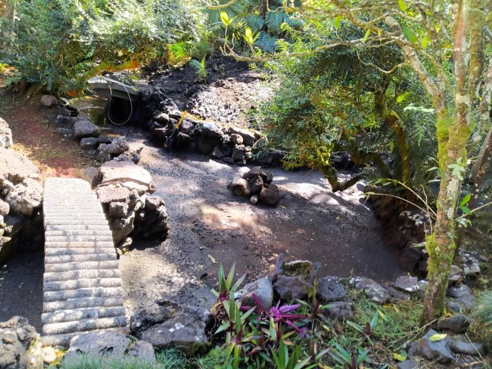 Expert landscape design in Hilo, HI by Odies Yard Care