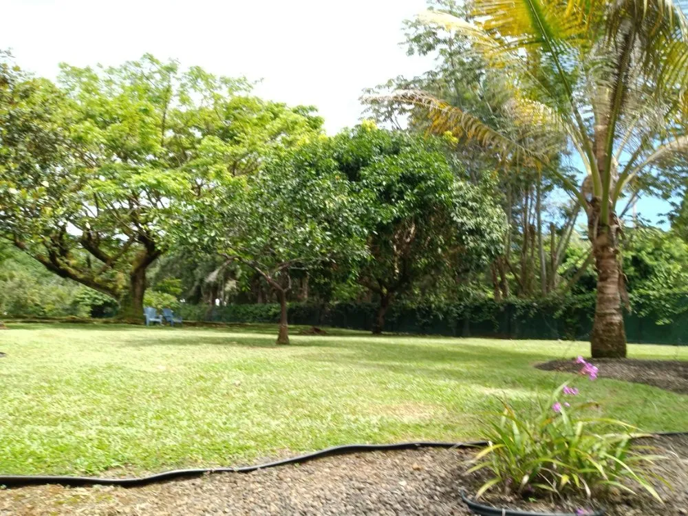 Affordable landscape design in Hilo, HI by Odies Yard Care