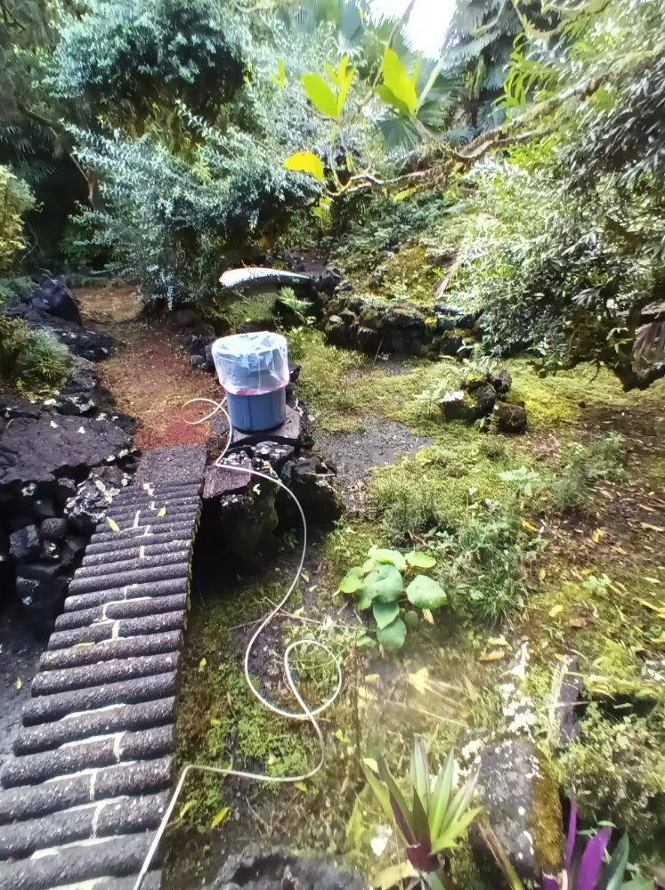 Trusted lawn care service experts serving Hilo, HI - Odies Yard Care