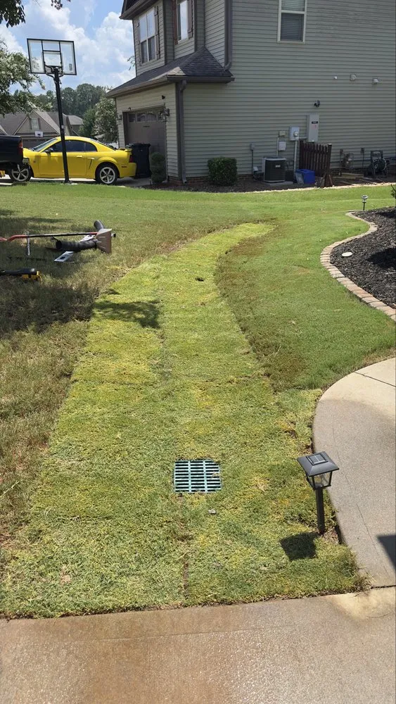 Expert yard cleanup service in Davenport, FL by ODL Landscape and Hardscape