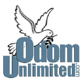 Reliable yard cleanup service near you across Virginia Beach, VA - Odom Unlimited