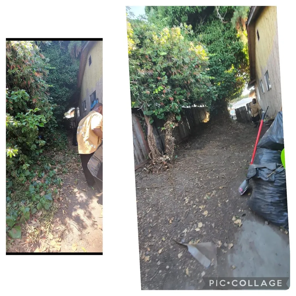 Reliable landscaping services in Fairfield, CA - Odom’s Landscaping