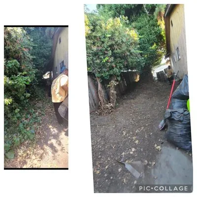 Odom’s Landscaping Logo