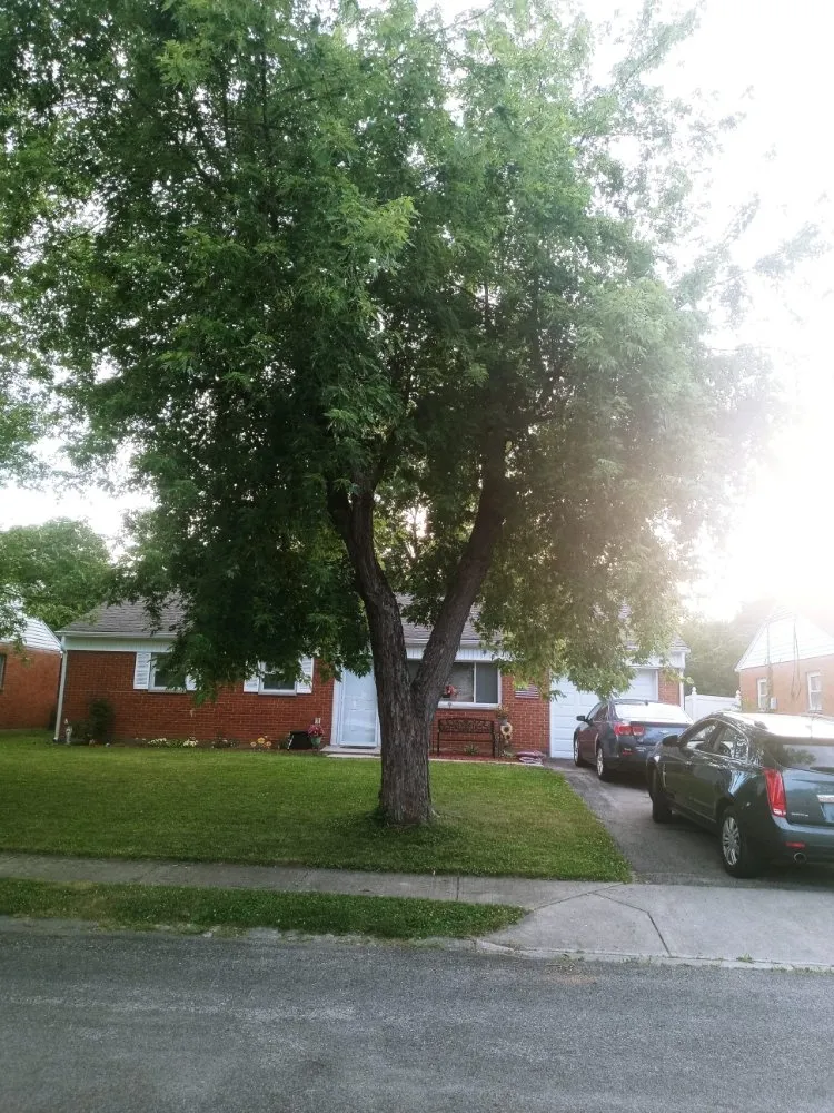 Expert outdoor landscaping in Dayton, OH - Odom's Lawn & Tree Service