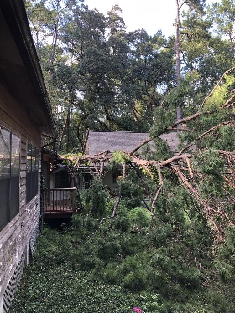 Professional yard cleanup service near you across Monticello, FL - Odoms Lawn Care