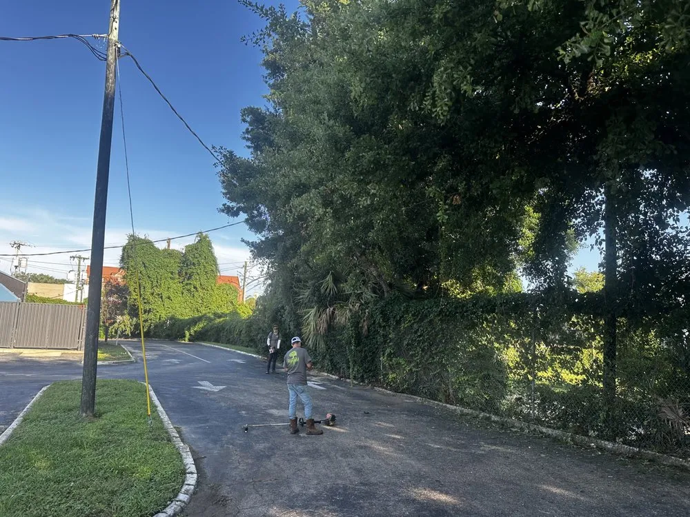 Local lawn care service in Monticello, FL by Odoms Lawn Care