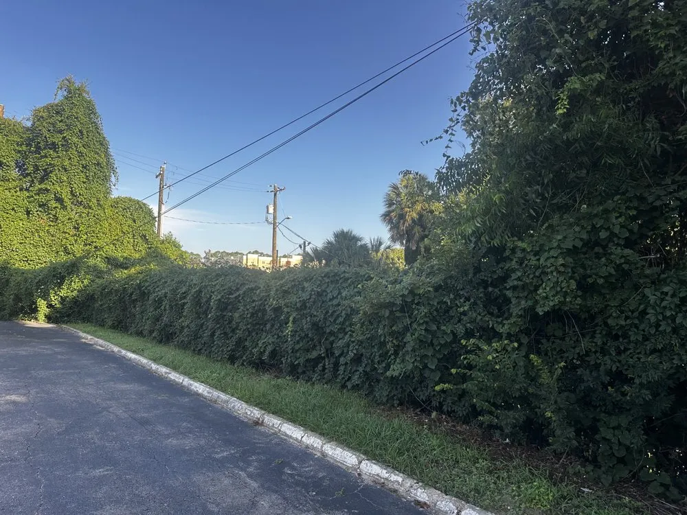 Professional landscaping services in Monticello, FL by Odoms Lawn Care