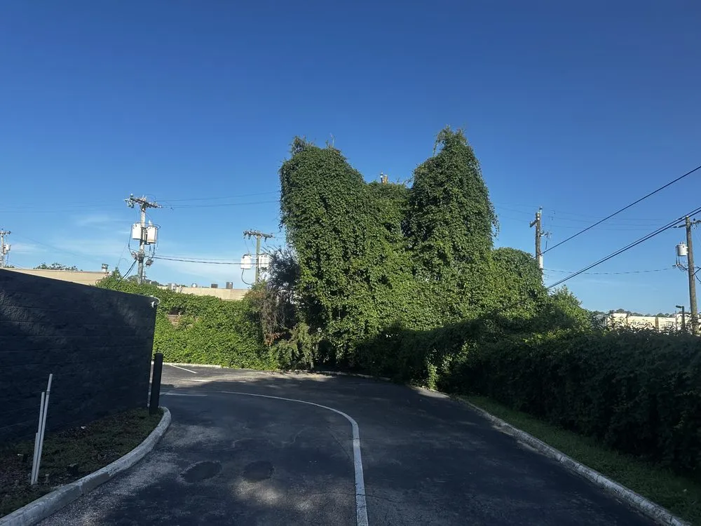 Professional landscape installation for outdoor upgrades across Monticello, FL - Odoms Lawn Care