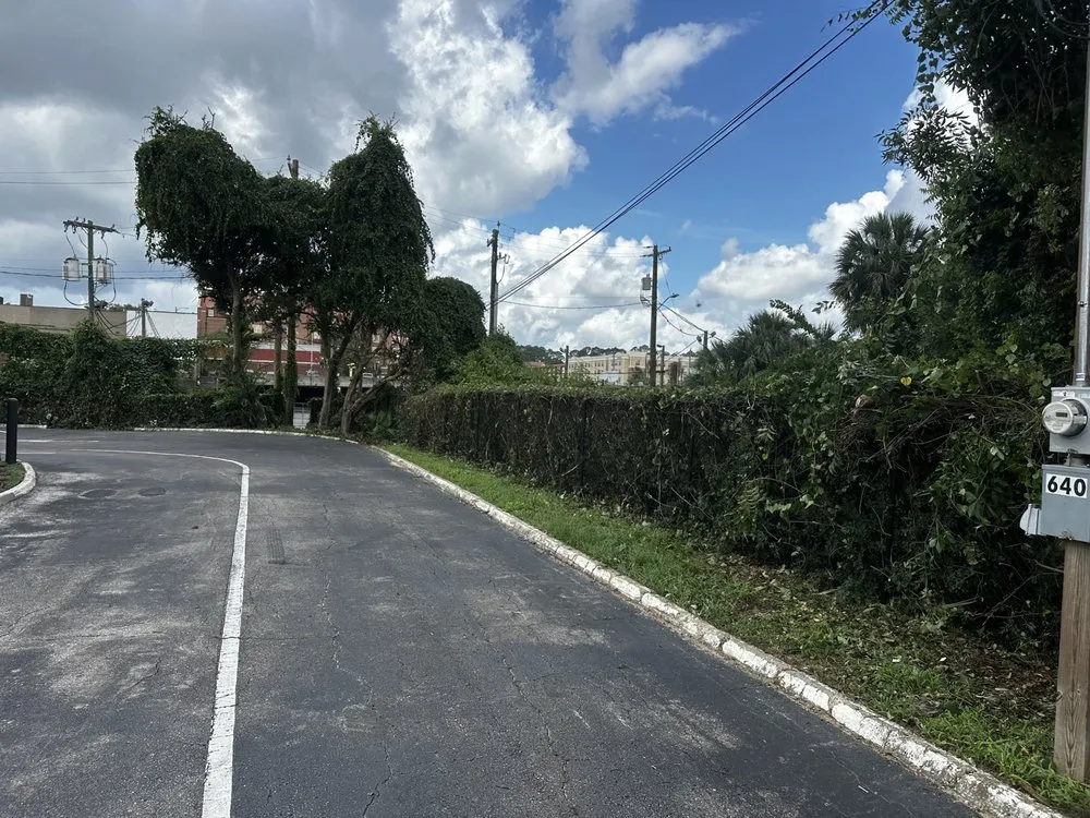 Local lawn care service in Monticello, FL by Odoms Lawn Care