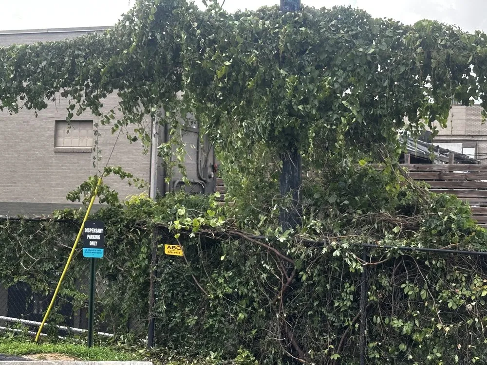 Reliable garden landscaping experts serving Monticello, FL - Odoms Lawn Care