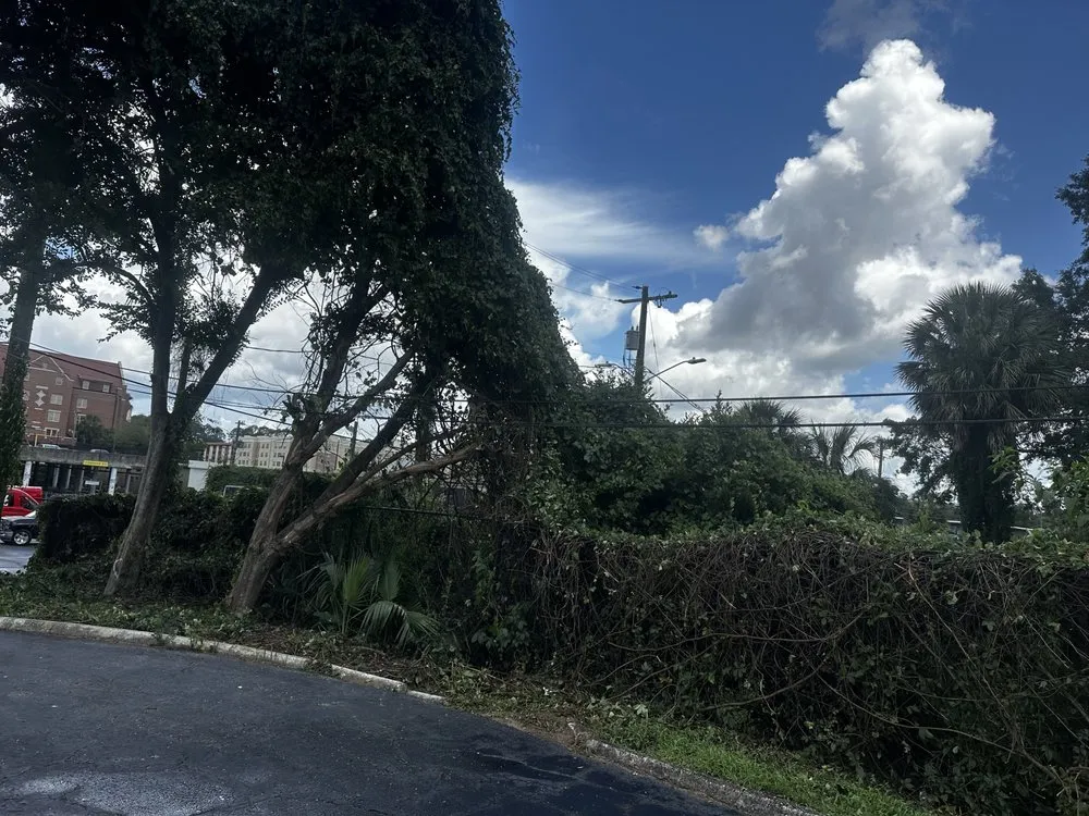 Professional landscape design in Monticello, FL by Odoms Lawn Care