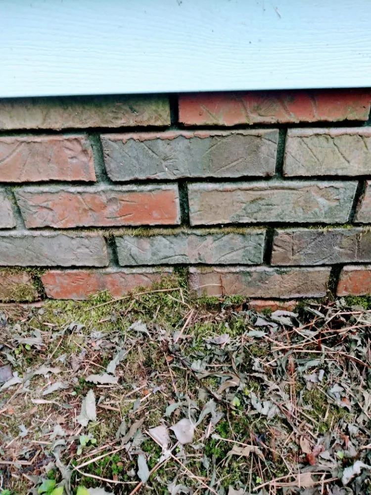 Local landscape design for outdoor upgrades in Addison, AL by Odoms Pressure Washing and Landscaping