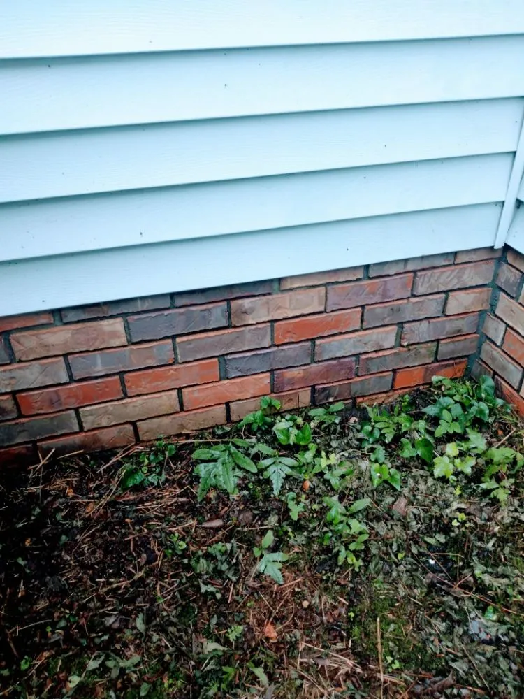 Top-rated landscape design in Addison, AL - Odoms Pressure Washing and Landscaping
